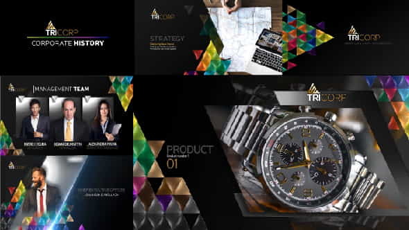 3D Triangle Concept Corporate Profile - VideoHive 21482481