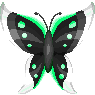 Black butterfly with green spots and white wing tips.