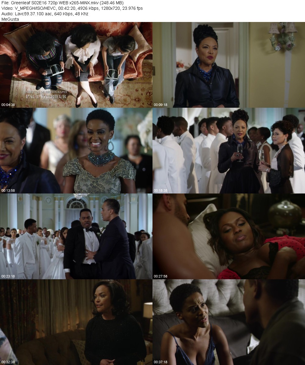 Greenleaf S02E16 720p WEB x265-MiNX