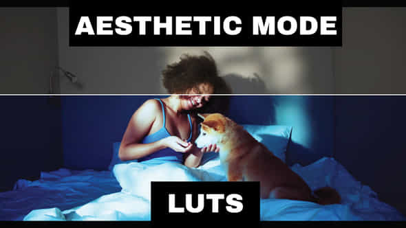 LUTs Aesthetic - VideoHive 42313906