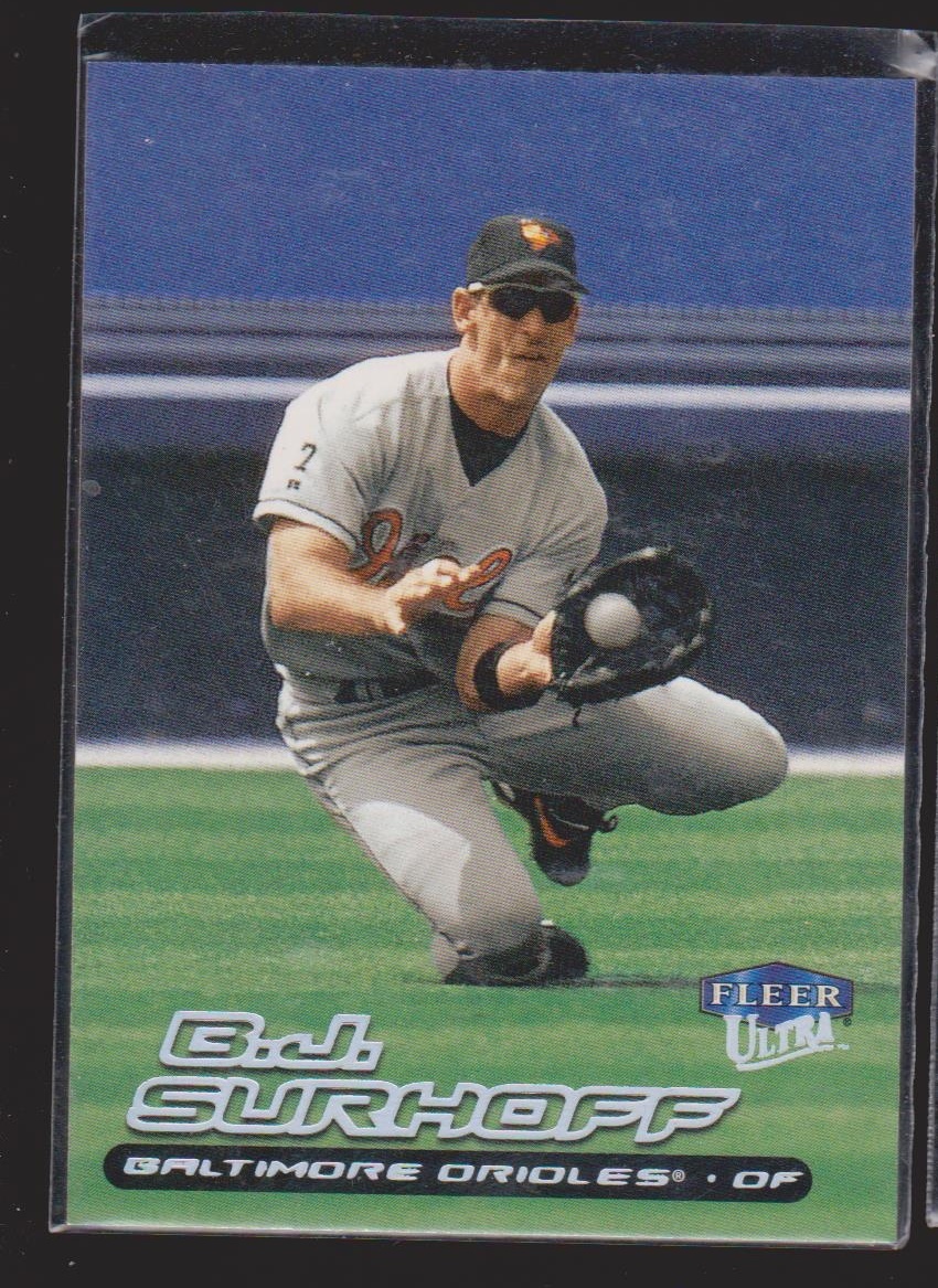 195 Chris Hoiles - Baltimore Orioles - 1994 Leaf Baseball