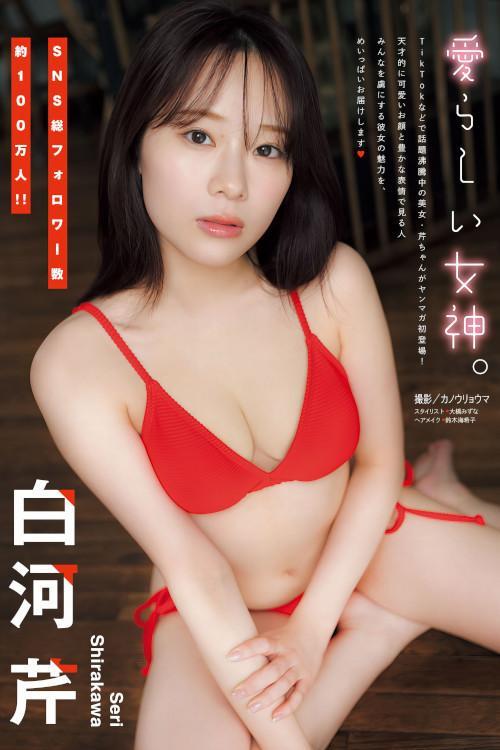 Seri Shirakawa 白河芹, Young Magazine 2024 No.16 (ヤングマガジン 2024年16号)