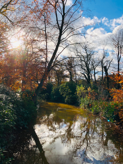 brasschaat, park