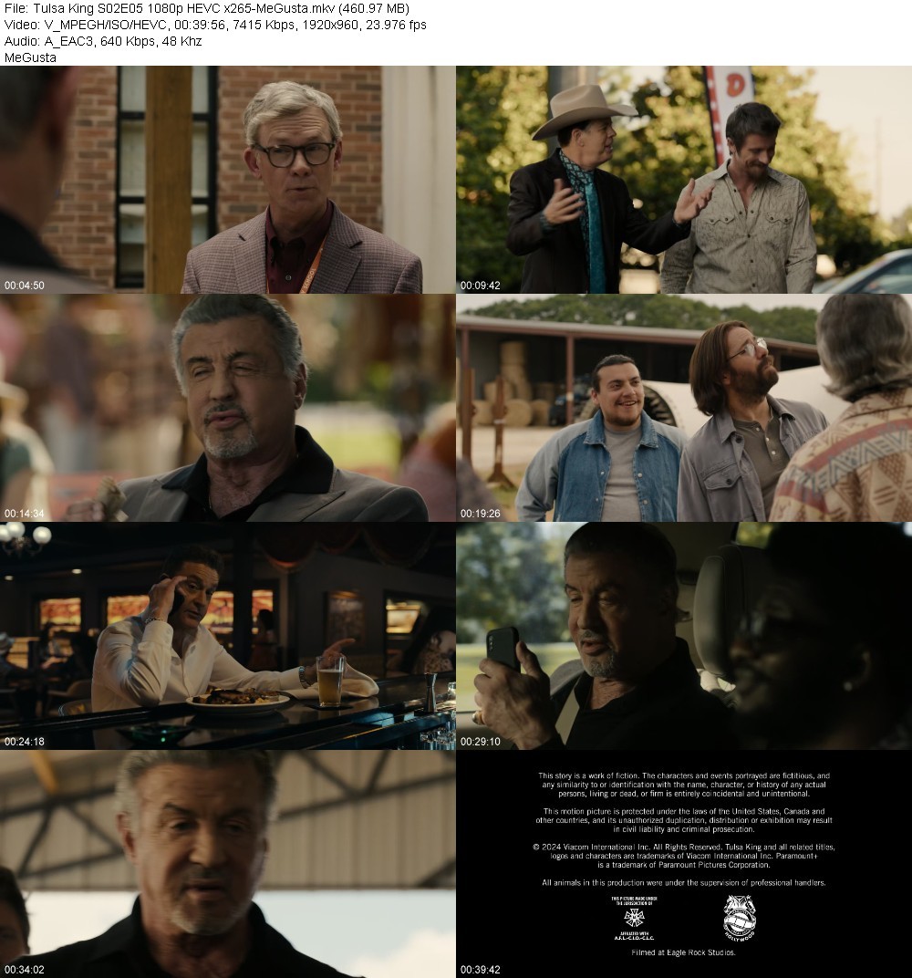 Tulsa King S02E05 1080p HEVC x265-MeGusta