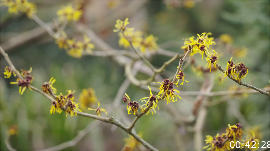 Alan Titchmarshs Gardening Club S01E03 [1080p] (H264) A3ARhIMW_o