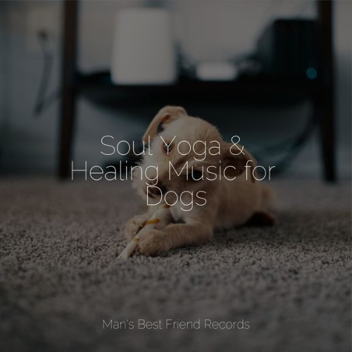 Dog Music - Soul Yoga & Healing Music for Dogs - 2022