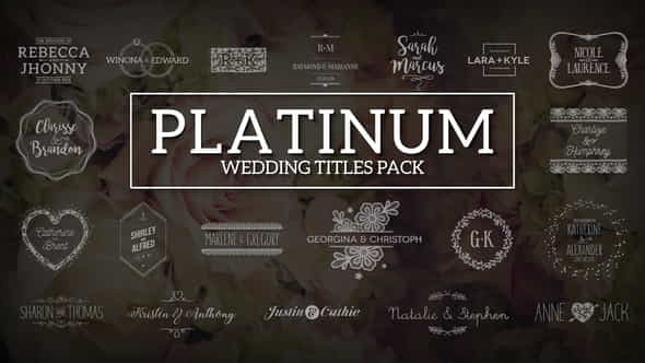 Platinum | Wedding Titles Pack - VideoHive 17285978