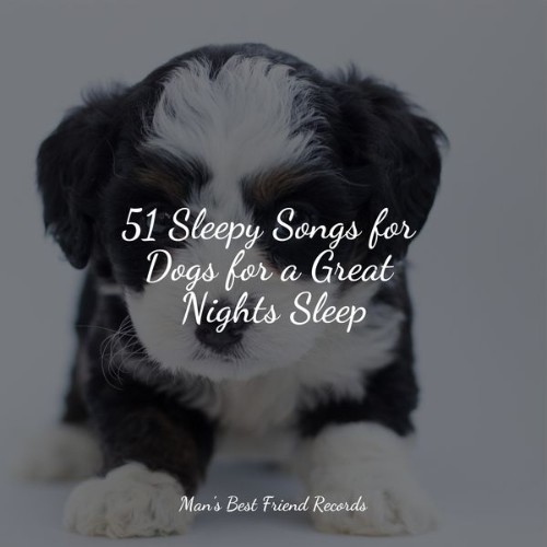 Sleepy Dogs - 51 Sleepy Songs for Dogs for a Great Nights Sleep - 2022