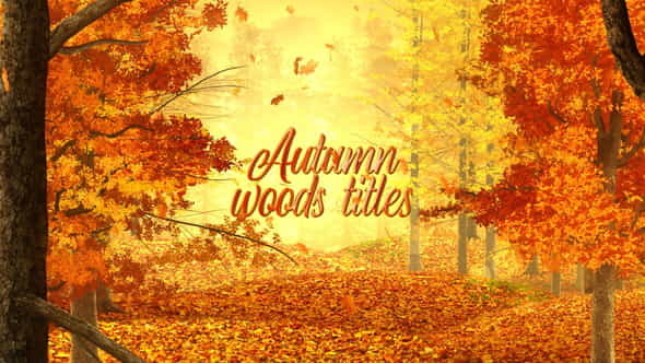 Autumn Woods Titles - VideoHive 33925235