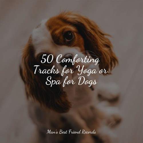 Dog Music Club - 50 Comforting Tracks for Yoga or Spa for Dogs - 2022