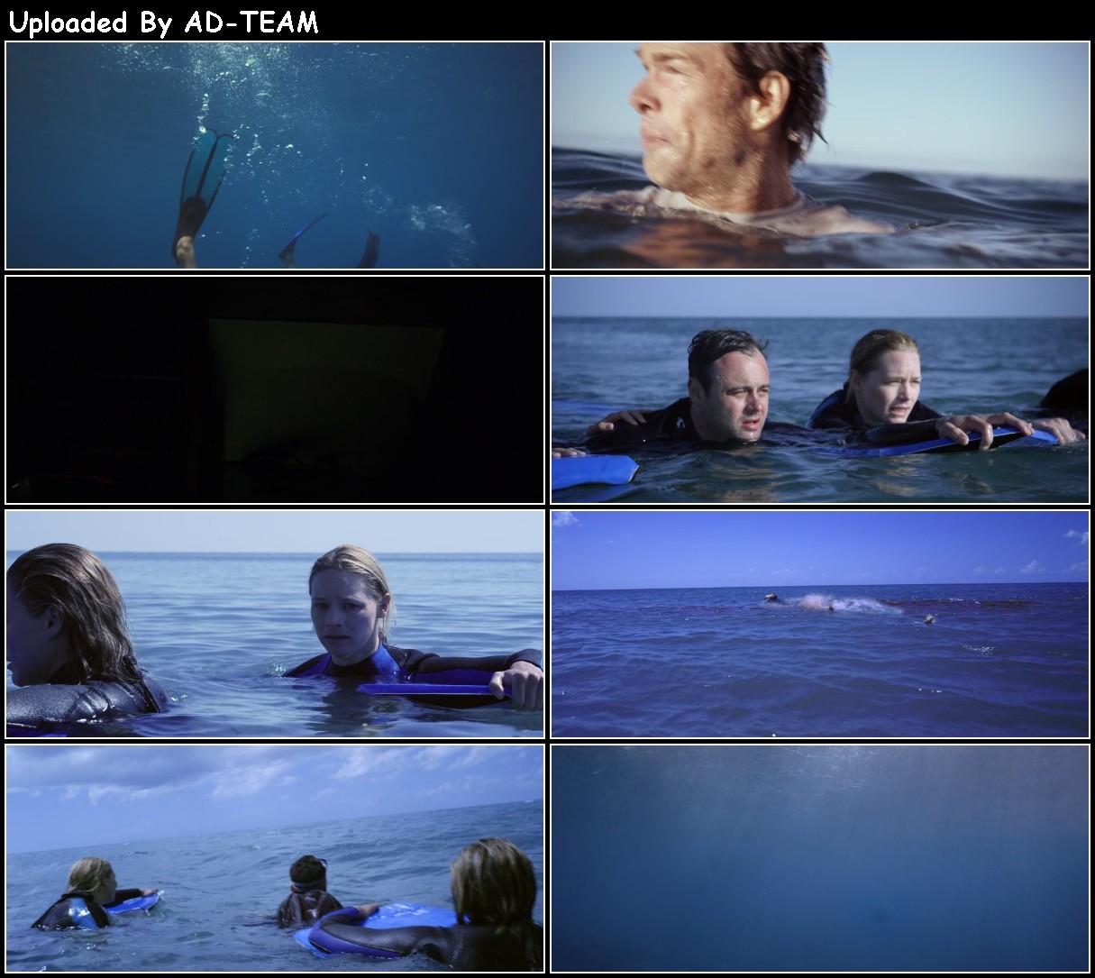 The Reef 2010 1080p BluRay x265-RARBG 7zLC7npi_o