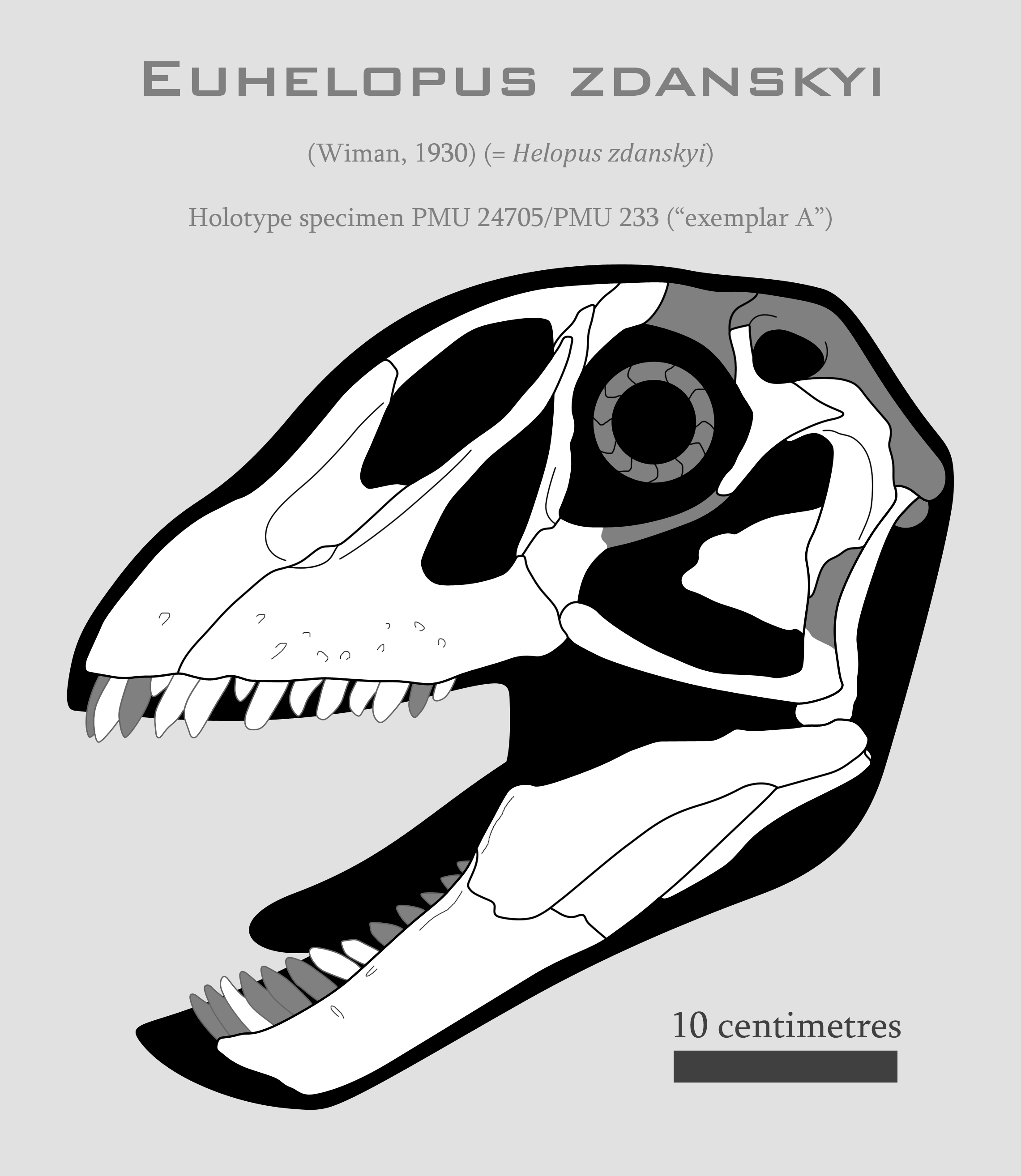 euhelopus