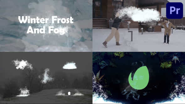 Winter Frost And - VideoHive 41894452
