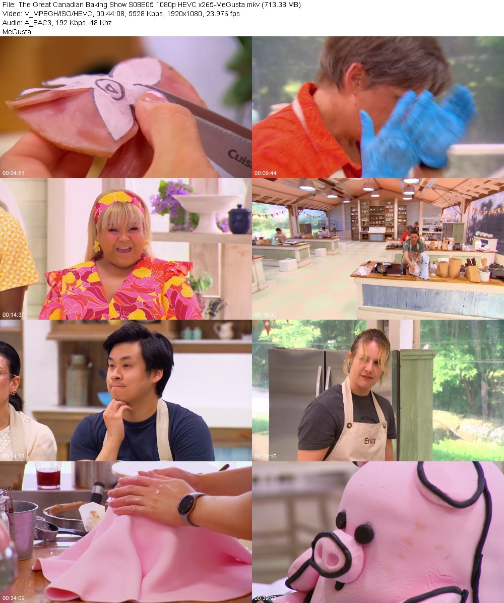 The Great Canadian Baking Show S08E05 1080p HEVC x265-MeGusta