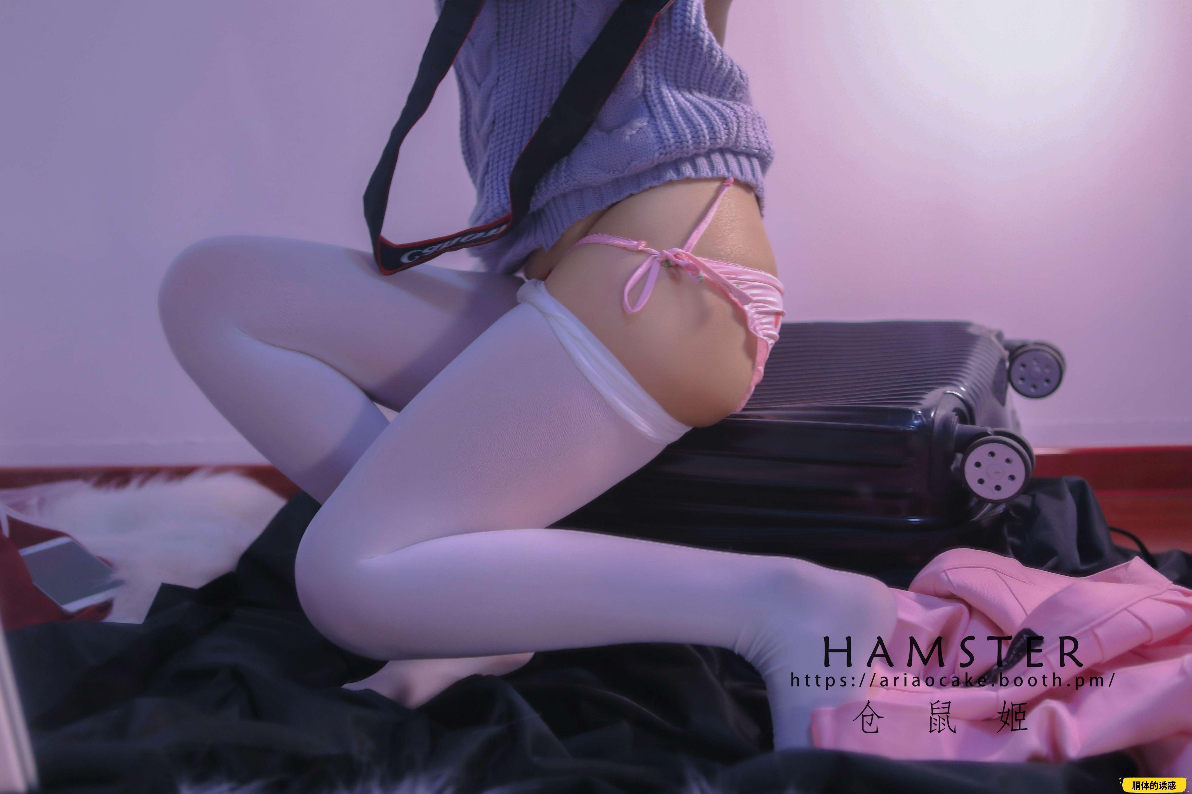 HAMSTERS 仓鼠姬 - NO.005 VOL.02 居家女友2 [34P-38MB]