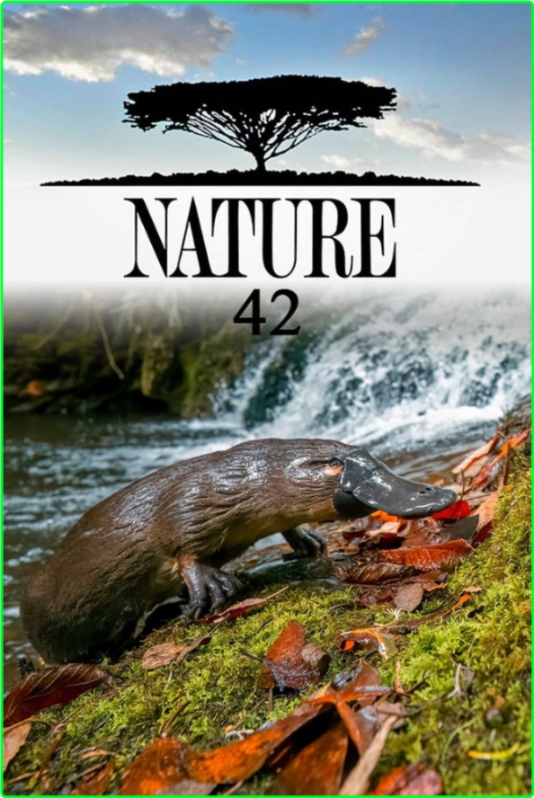 Nature S42E12 Patrick And The Whale [1080p] (x265) OuCmRSZE_o