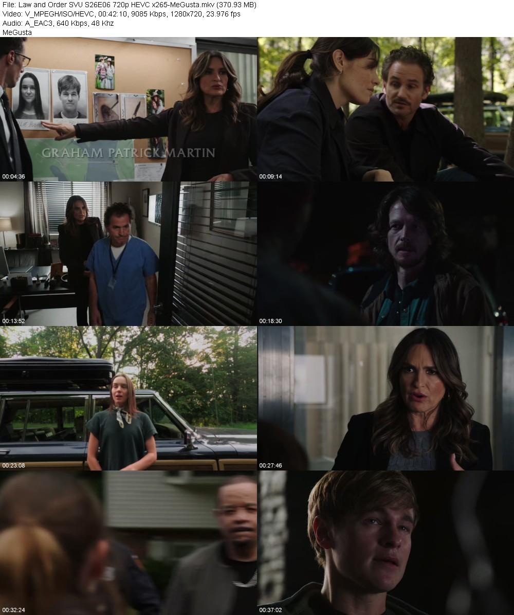 Law and Order SVU S26E06 720p HEVC x265-MeGusta