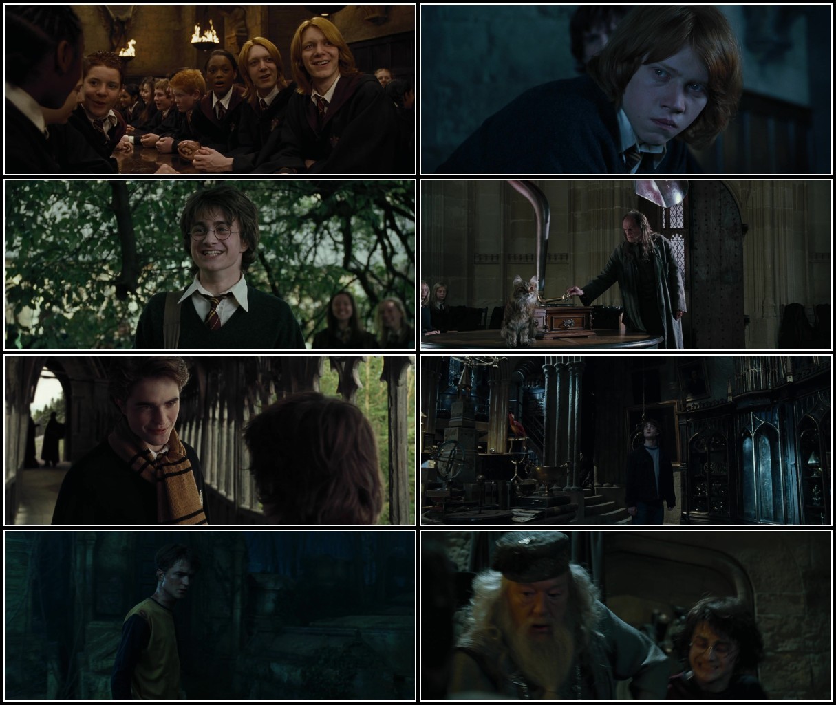 Harry Potter and The Goblet of Fire (2005) 1080p BluRay x264 AC3 Soup QEvp9WrB_o