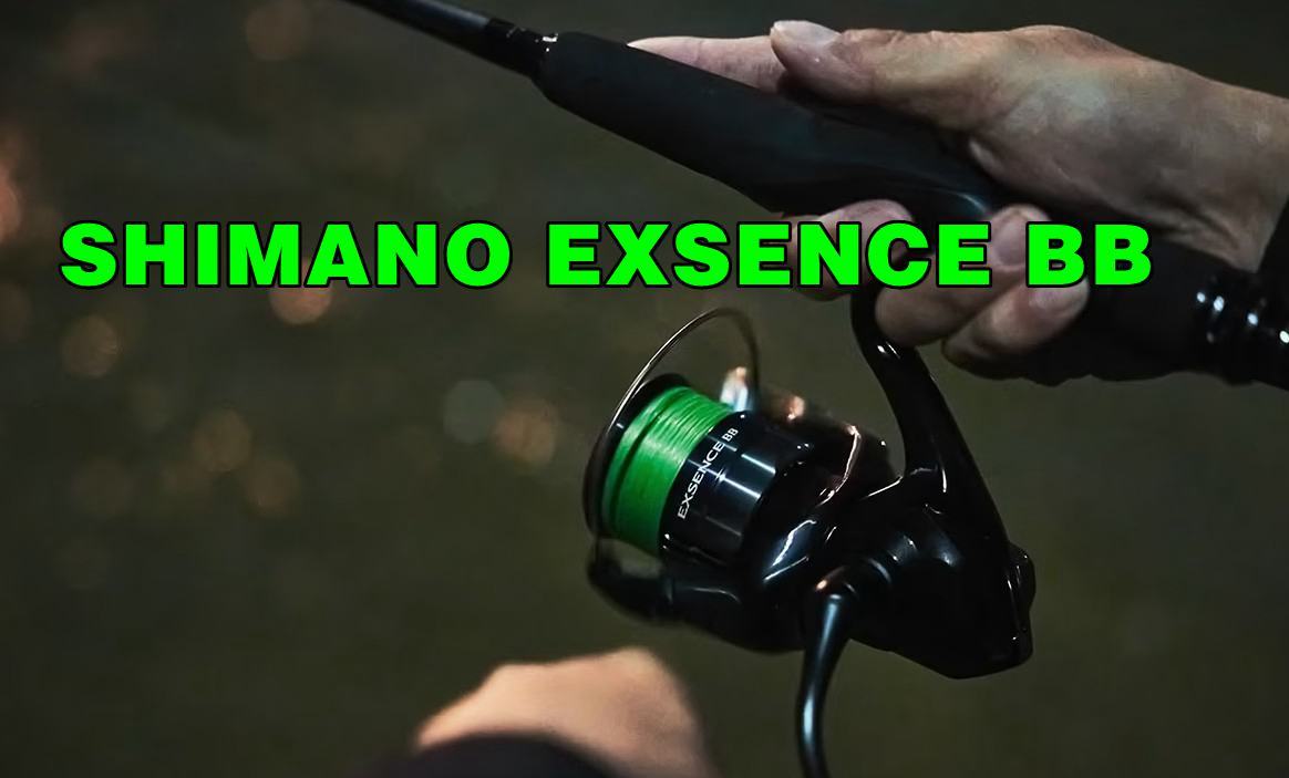 海鲈性价款式更新2024 SHIMANO EXSENCE BB 纺车轮|拓路吧