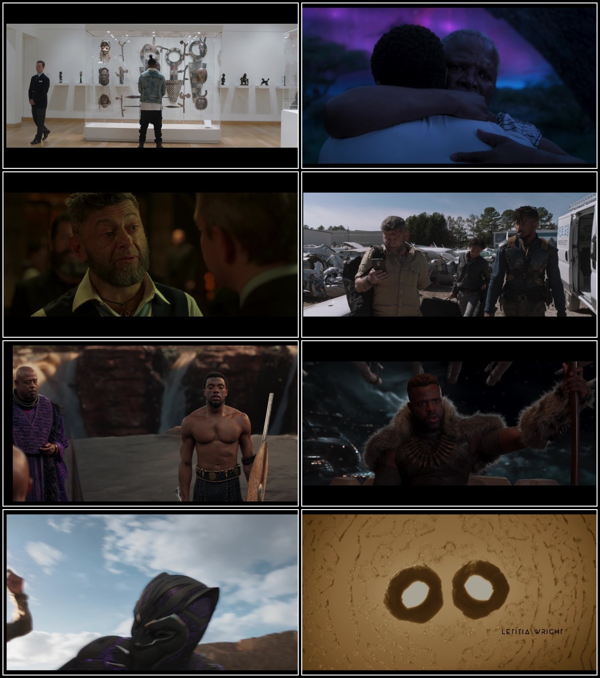 Black PanTher 2018 IMAX EDITION BluRay 1080p DTS AC3 x264-MgB