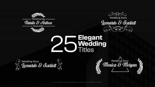 Elegant Wedding Titles - VideoHive 46759017