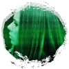 image host