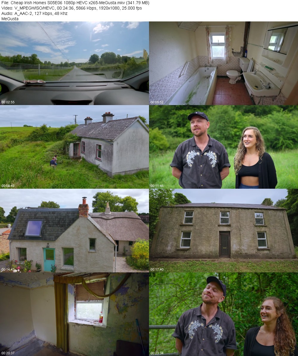 Cheap Irish Homes S05E06 1080p HEVC x265-MeGusta