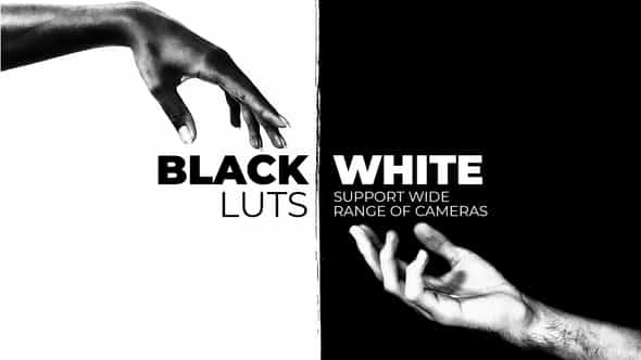 Black and White - VideoHive 39103209