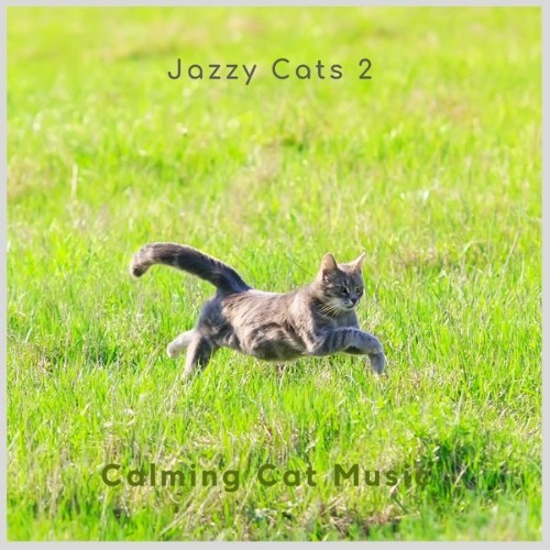 Calming Cat Music - Jazzy Cats 2 - 2021