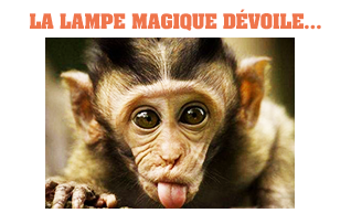 LA LAMPE MAGIQUE - Page 14 BSjYlOCc_o