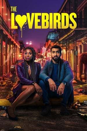 The Lovebirds 2020 720p 1080p WEBRip