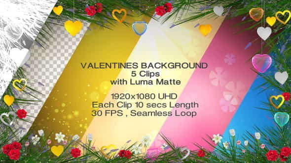 Valentines Backgrounds - 5 clips - VideoHive 25564471
