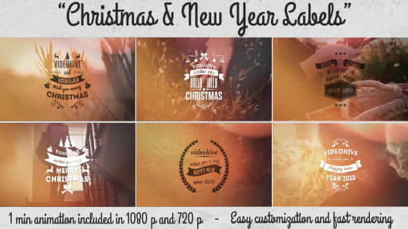 ChristmasNew Year Labels - VideoHive 9560529