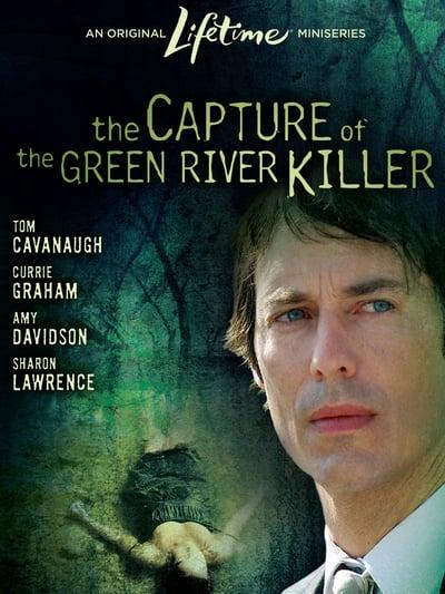 The Capture of the Green River Killer 2008 1080p WEBRip x265-RARBG