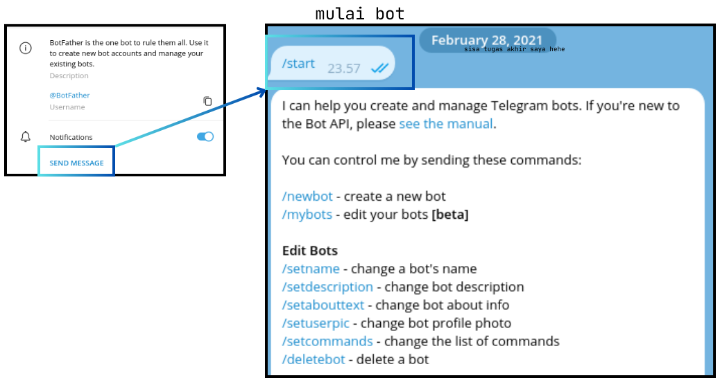 image host