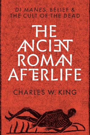 The Ancient Roman Afterlife Di Manes, Belief, and the Cult of the Dead
