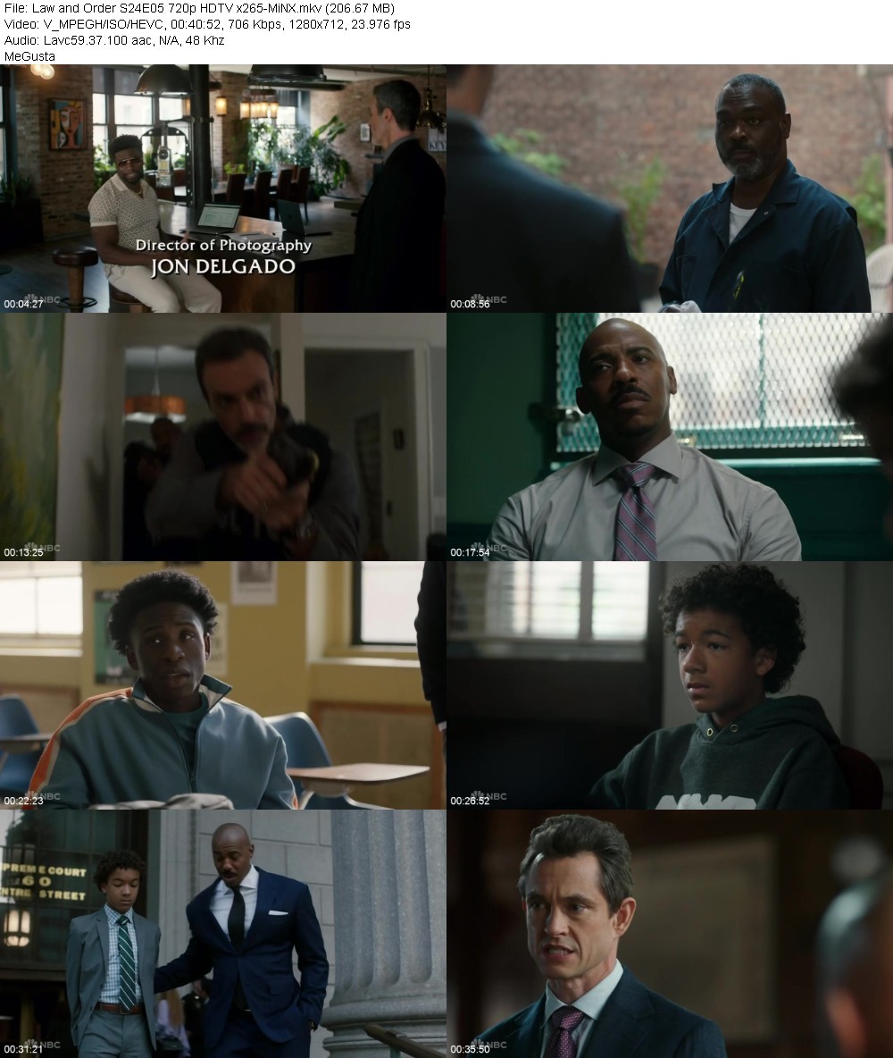 Law and Order S24E05 720p HDTV x265-MiNX