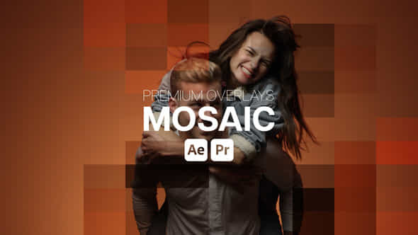 Premium Overlays Mosaic - VideoHive 43146566