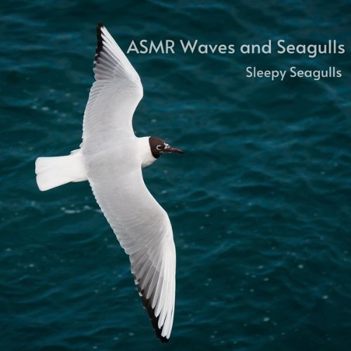 ASMR Waves and Seagulls - Sleepy Seagulls - 2022