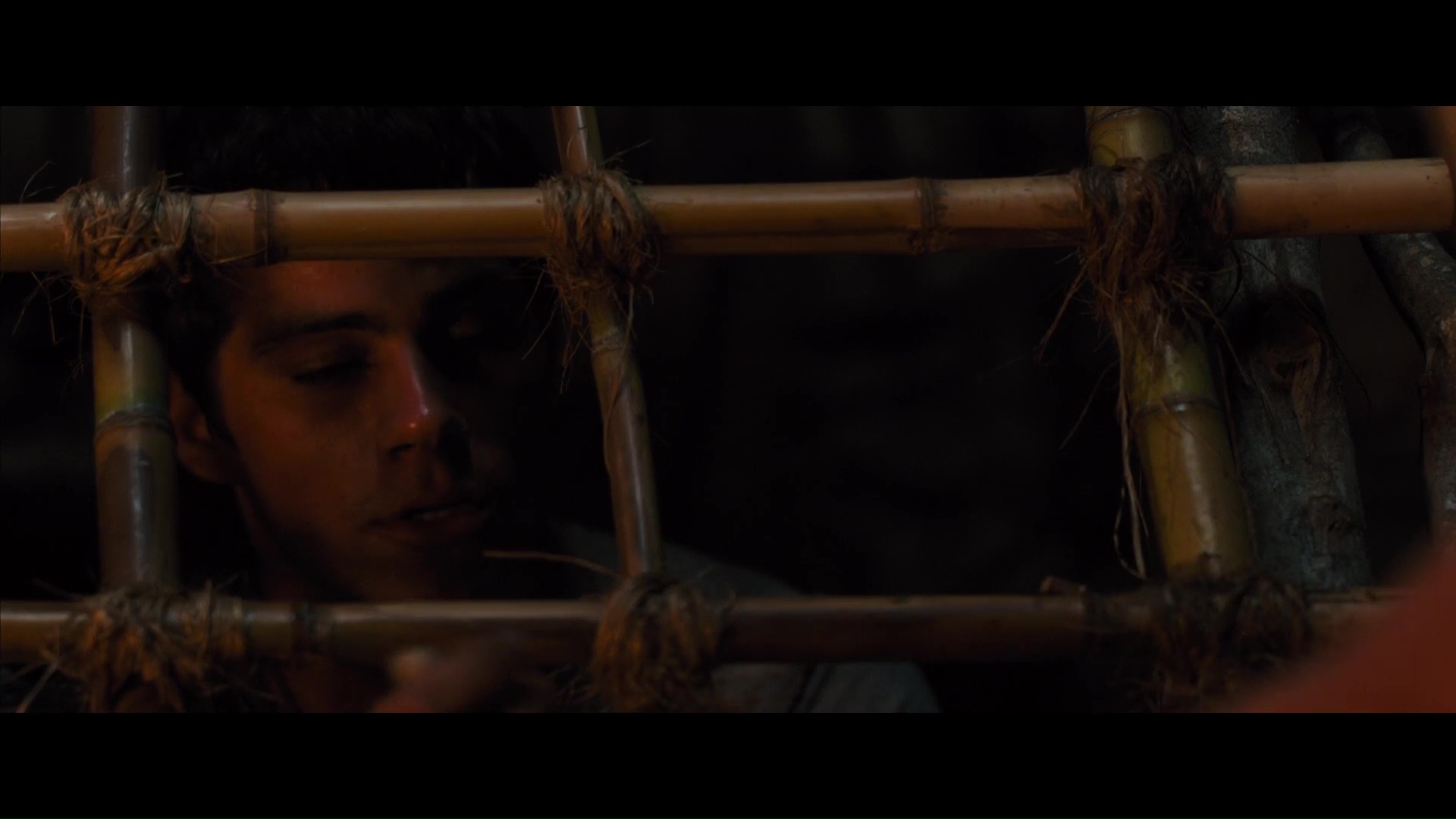 Maze Runner Correr O Morir 1080p Lat-Cast-Ing 5.1 (2014) 0KZDZ67w_o