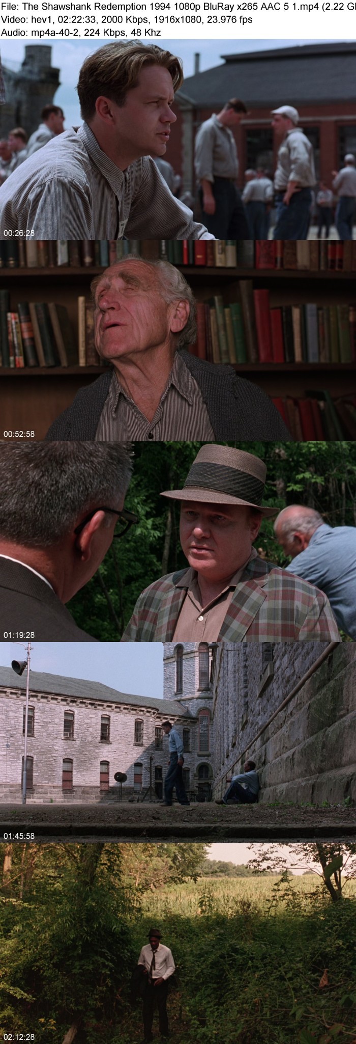 The Shawshank Redemption (1994) 1080p BluRay x265 AAC 5 1 -88 0ialmrX4_o