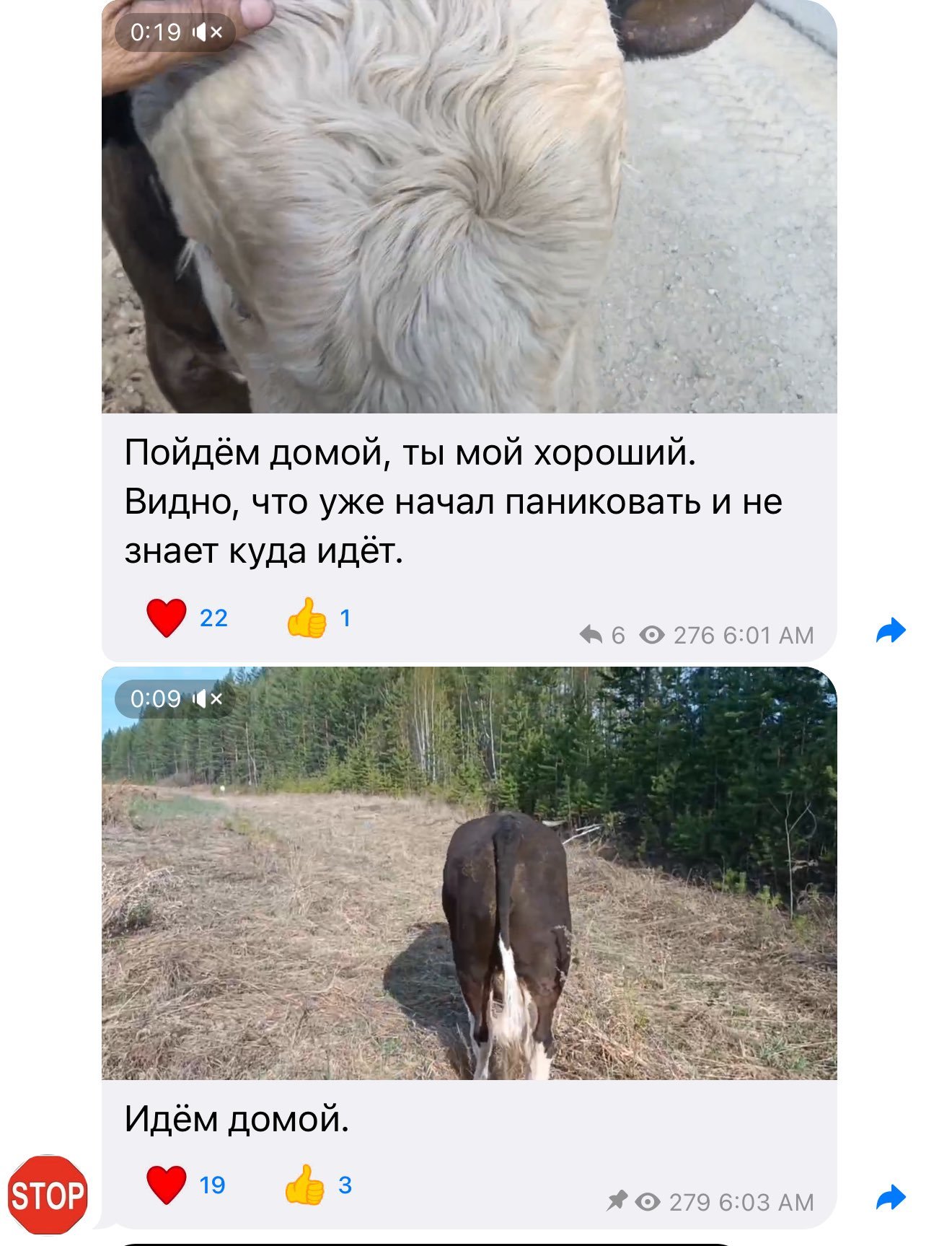 Crp6rgJs_o.jpeg