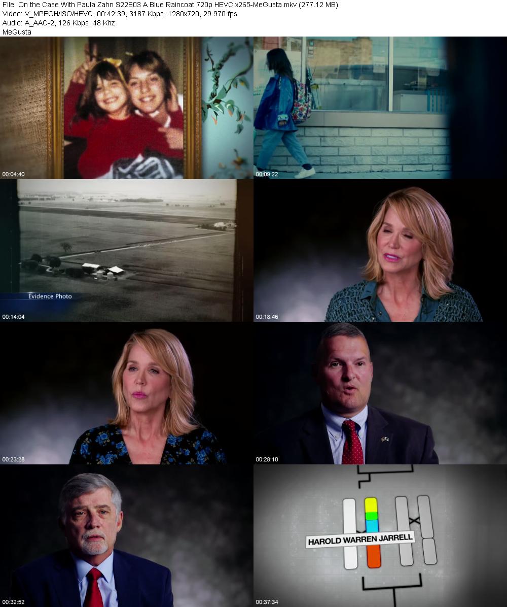 On the Case With Paula Zahn S22E03 A Blue Raincoat 720p HEVC x265