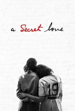 A Secret Love 2020 720p 1080p WEBRip
