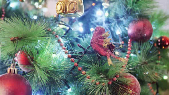 Close Up A Christmas Tree Lights Glittering At Night - VideoHive 40270495