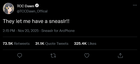 A tweet from Dawn that says ‘They let me have a Sneaslr!!’