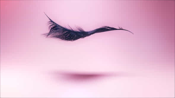 Eyelash Logo Ident - VideoHive 42721287