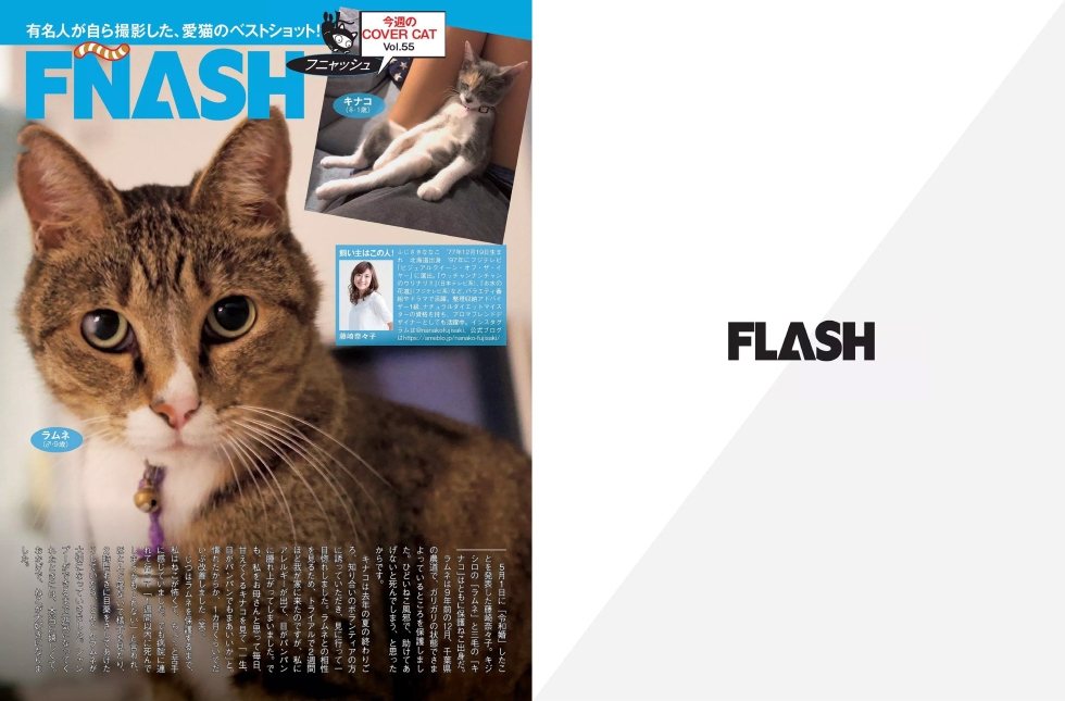 FLASH フラッシュ 2019年8月20日 - 第1张  | 性趣套图