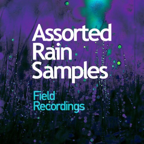 Field Recordings - Assorted Rain Samples - 2019
