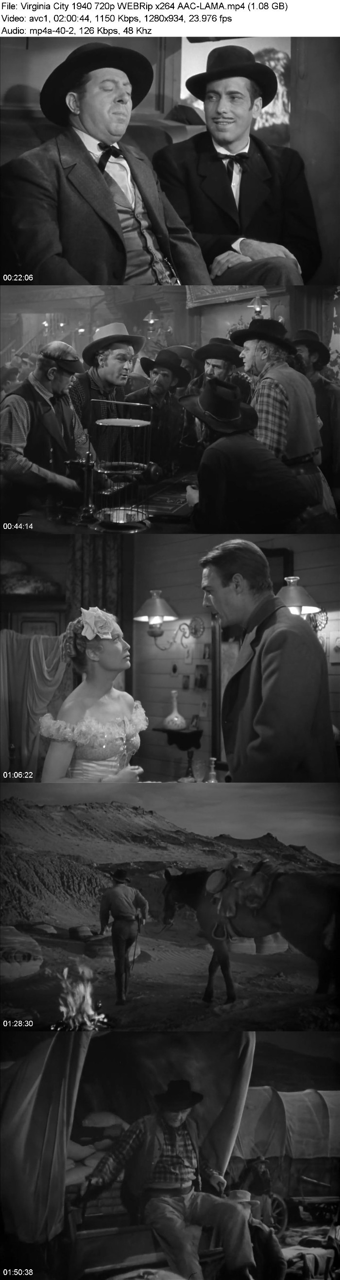 Virginia City (1940) 720p WEBRip-LAMA WRM26LZD_o